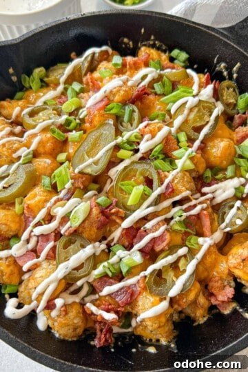Tater tots with cheese bacon and ranch sauce.