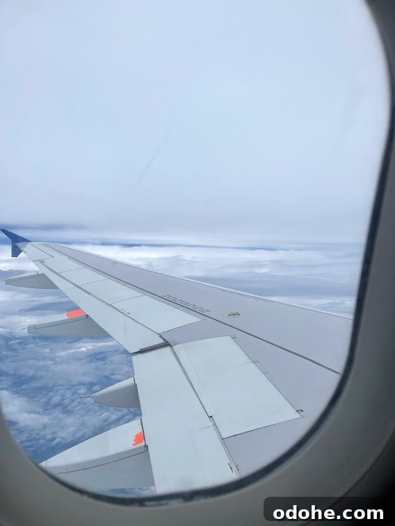 Traveling with Celiac Disease: Practical Tips for Safe Gluten-Free Trips 3 img 1604 2