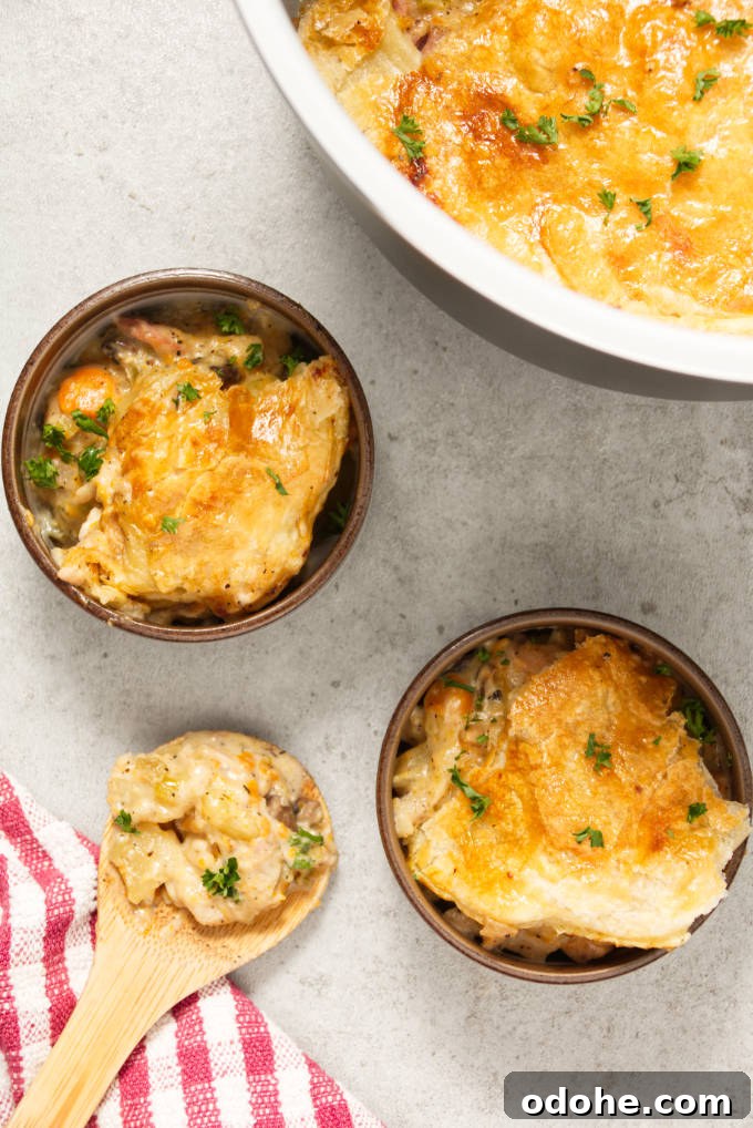 Ninja Foodi Turkey Pot Pie Recipe: Crispy, Creamy Comfort 2 Overhead of ninja foodi turkey pot pie dished into bowls with wooden spoon