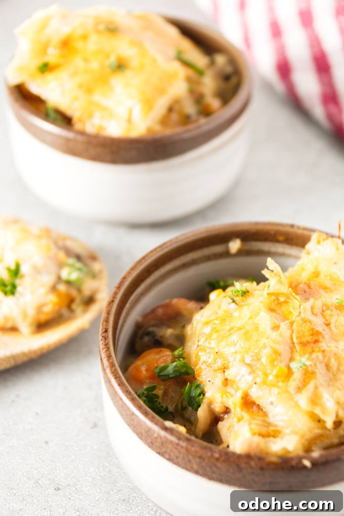 Ninja Foodi Turkey Pot Pie Recipe: Crispy, Creamy Comfort 6 Ninja foodi turkey pot pie close up in dishes with a wooden spoon
