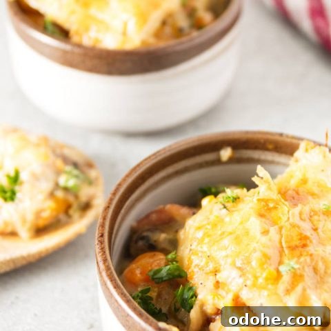 Ninja foodi turkey pot pie close up in dishes with a wooden spoon