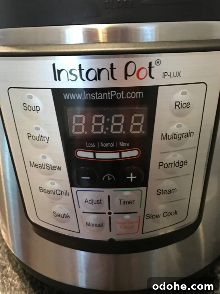 Instant Pot: 7 Simple Recipes to Start Cooking Today 3 Instapot Display|The Holy Mess