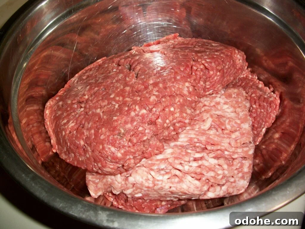 Instant Pot: 7 Simple Recipes to Start Cooking Today 4 Ground Beef in the Instapot|The Holy Mess