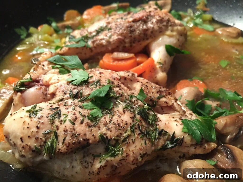 Instant Pot: 7 Simple Recipes to Start Cooking Today 6 Instapot Chicken Thighs|The Holy Mess