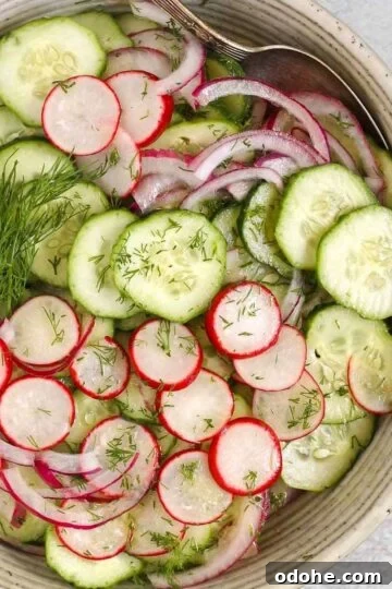 Cucumber radish salad in a serving bowl with red onion and sprigs of fresh dill.