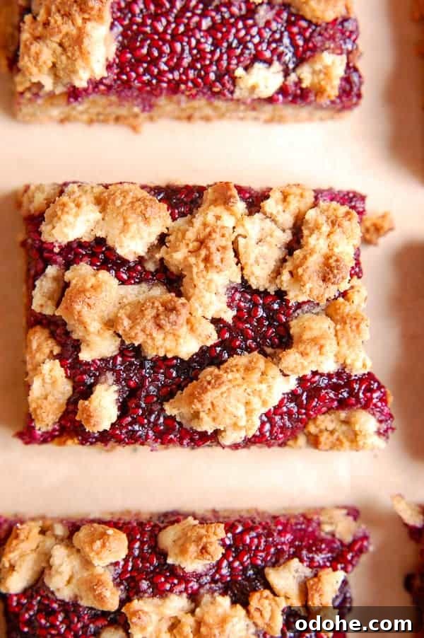 berry crumble bar