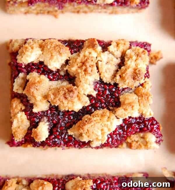 berry crumble bar