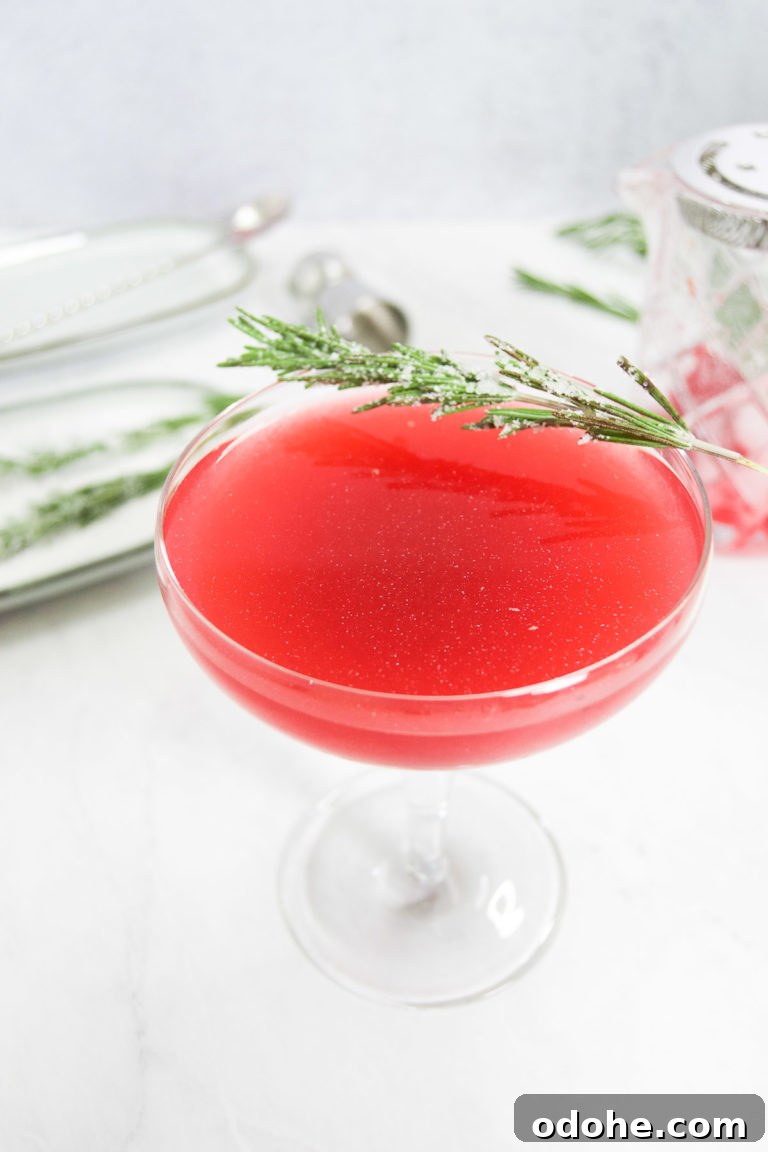 A cranberry cocktail in a coup glass garnished with a sugared rosemary tree