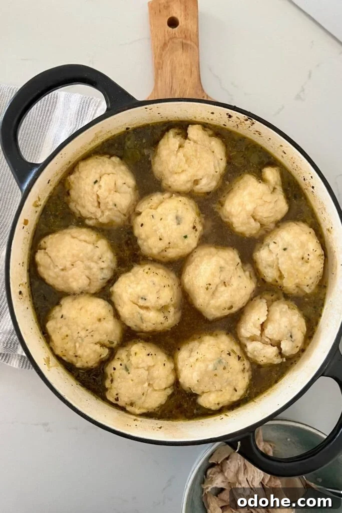 Sourdough Dumplings: Quick Discard and Overnight Methods 6 Black enamel Dutch Oven full of chicken soup with 12 sourdough dumplings floating on the top.