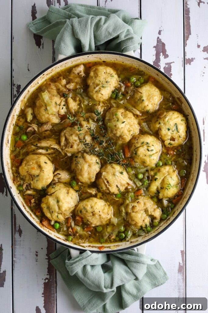 Sourdough Dumplings: Quick Discard and Overnight Methods 7 A large, round pan of sourdough chicken and dumplings full of vegetables and topped with fresh thyme sprigs.