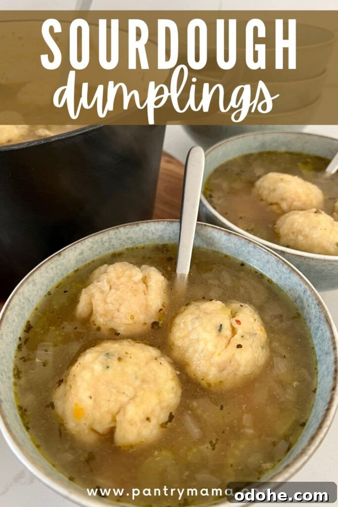 Sourdough Dumplings: Quick Discard and Overnight Methods 8 Sourdough Dumplings - Pinterest Image