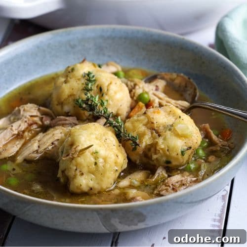 Sourdough Dumplings: Quick Discard and Overnight Methods 9 A bowl of sourdough dumplings and chicken soup garnished with fresh thyme leaves.