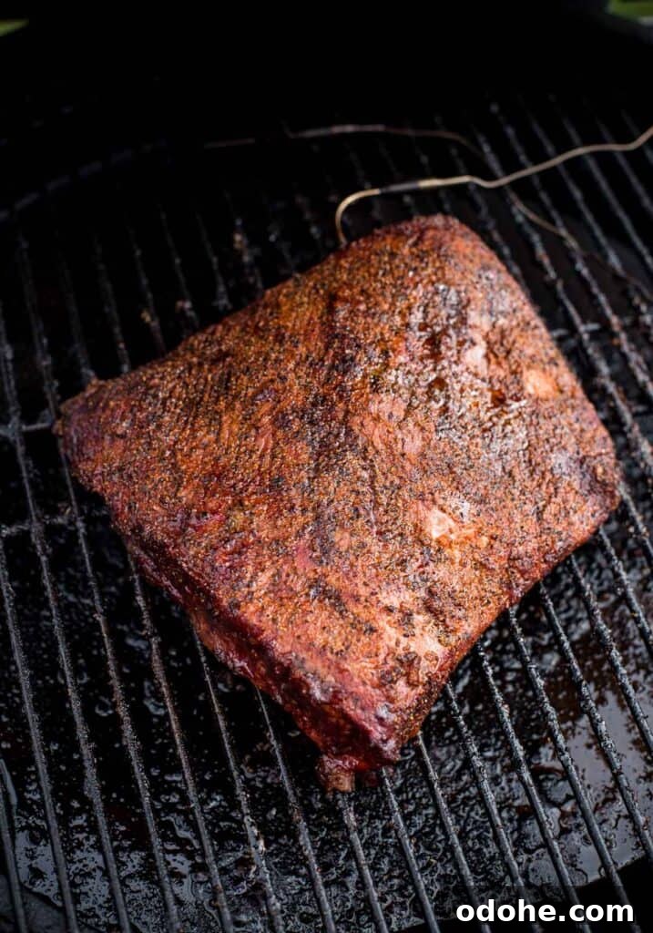 Smoking a Brisket Flat: Step-by-Step Guide for Tender Results 6 img 17507 5
