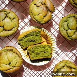 Spinach Banana Blender Muffins — Quick Blender Muffin Recipe 3 Spinach and Banana Blender Muffins