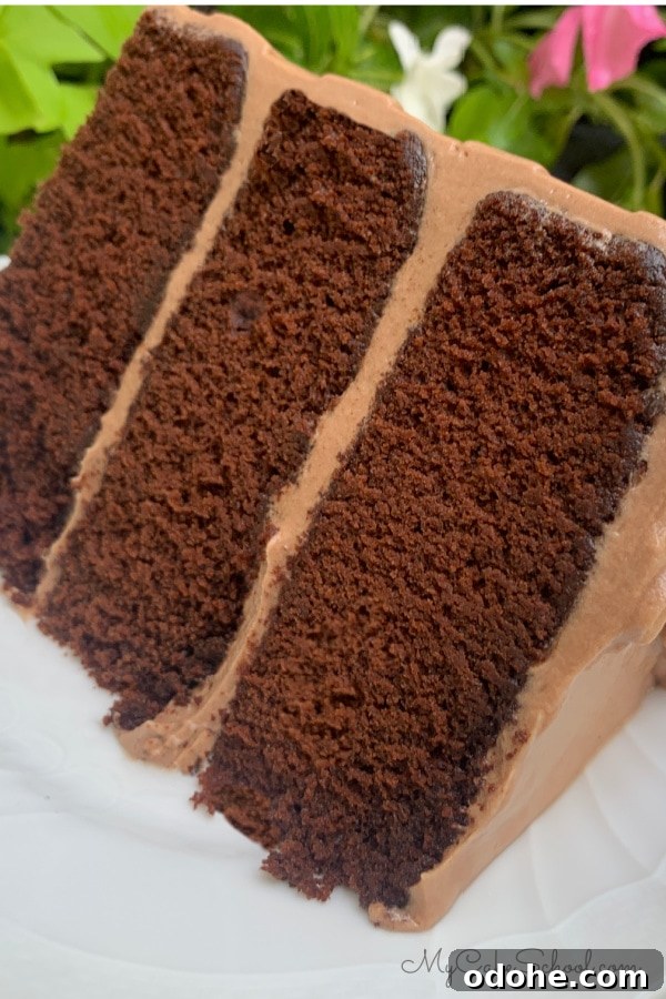 Decadent Dark Chocolate Cake Recipe for Rich, Moist Layers 11 img 178693 10