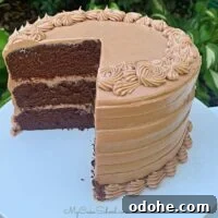 Decadent Dark Chocolate Cake Recipe for Rich, Moist Layers 12 Moist Dark Chocolate Layer Cake from Scratch with Chocolate Cream Cheese Buttercream