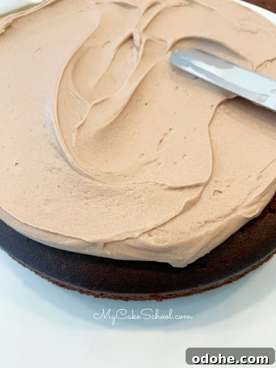 Decadent Dark Chocolate Cake Recipe for Rich, Moist Layers 4 img 178693 3