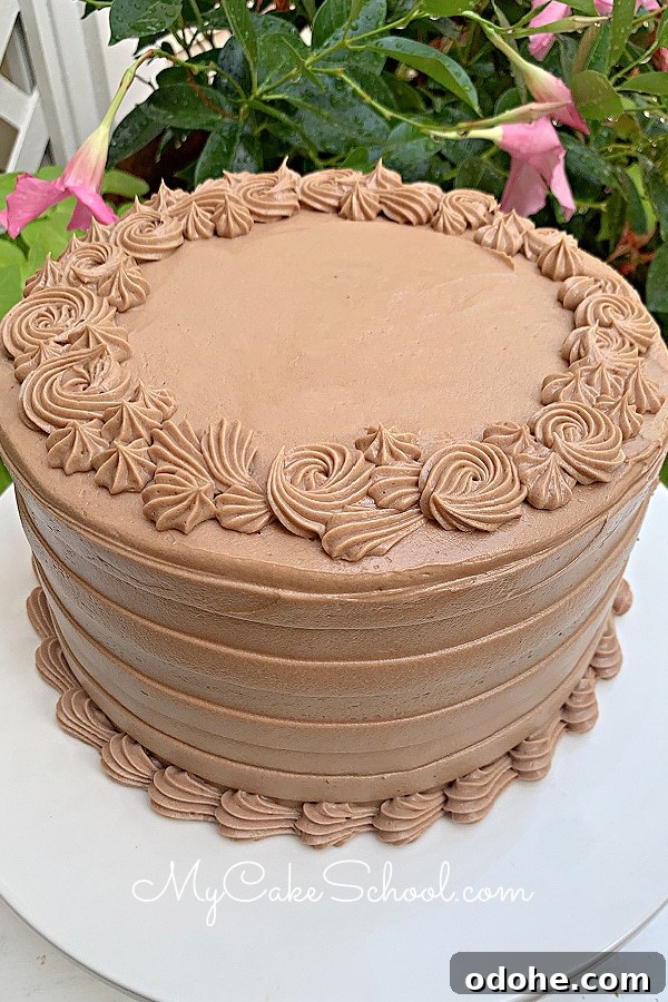 Decadent Dark Chocolate Cake Recipe for Rich, Moist Layers 5 img 178693 4