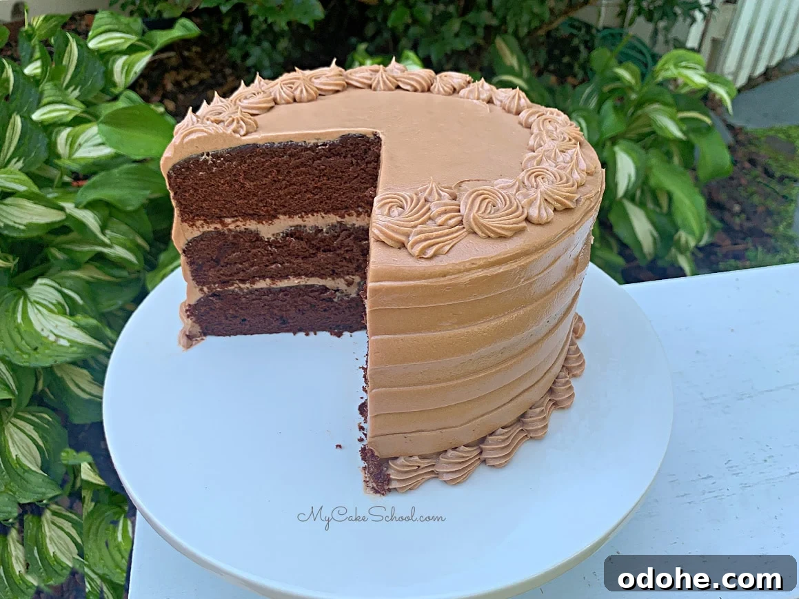 Decadent Dark Chocolate Cake Recipe for Rich, Moist Layers 6 img 178693 5