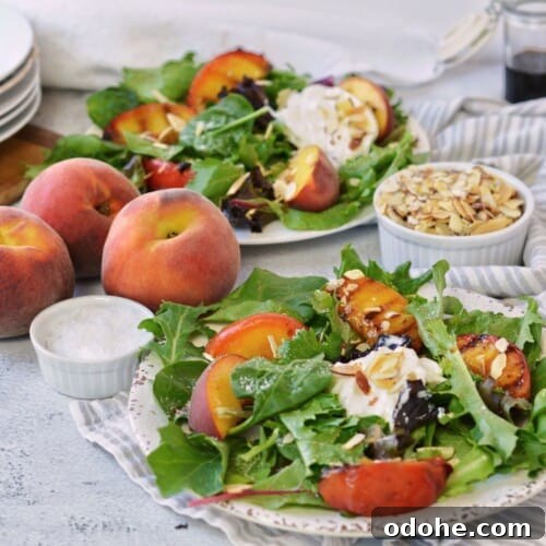 plated grilled peach and burrata salads.