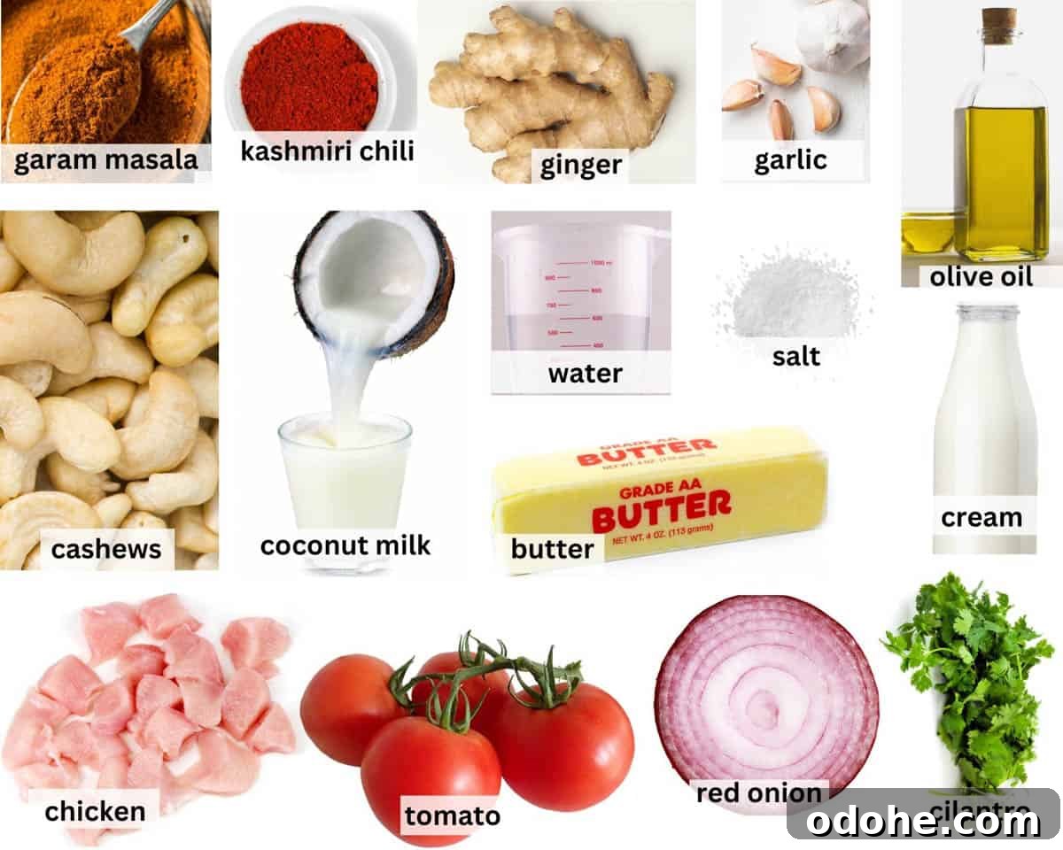 ingredients laid flat for butter chicken.