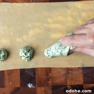 Fresh Spinach and Ricotta Ravioli Recipe for Homemade Pasta 11 A sheet of thinly rolled pasta dough with mounds of green and white filling being piped on.