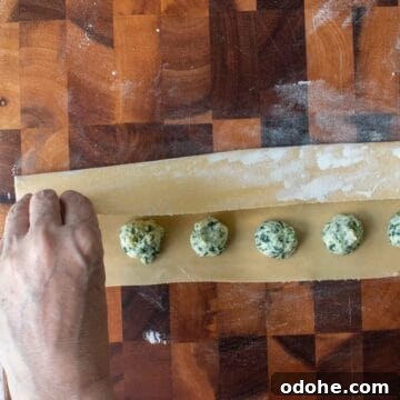 Fresh Spinach and Ricotta Ravioli Recipe for Homemade Pasta 12 Thinly rolled pasta dough being folded over mounds of green and white filling.