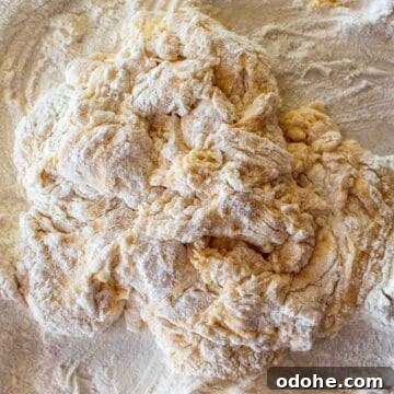 Fresh Spinach and Ricotta Ravioli Recipe for Homemade Pasta 7 Scraggy dough with flour around viewed from above.