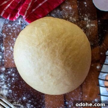 Fresh Spinach and Ricotta Ravioli Recipe for Homemade Pasta 9 A ball of pasta dough viewed from above.