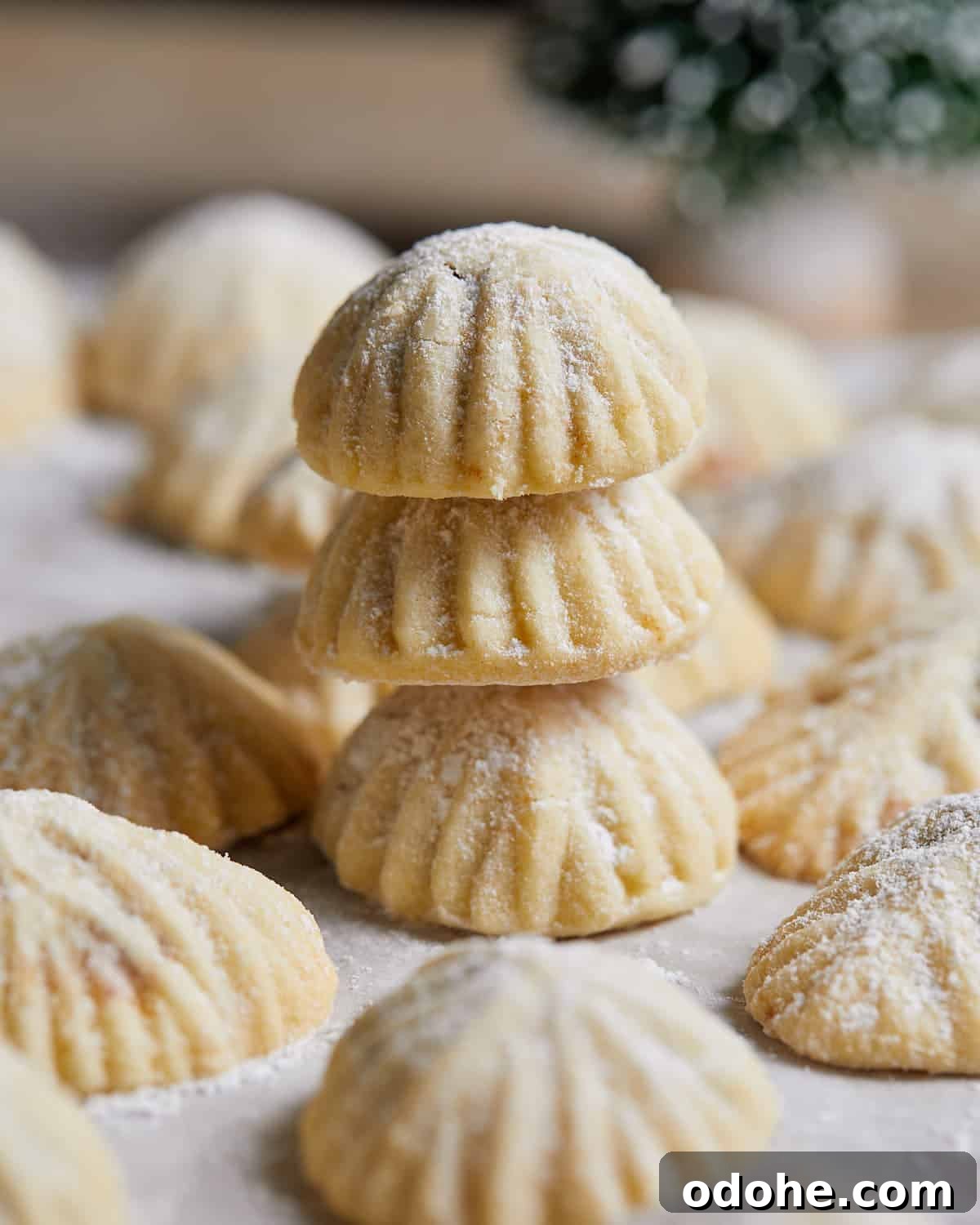 An overhead image of maamoul cookies.