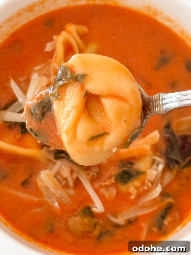 Creamy Tomato Tortellini Soup from NYT 5-Star Recipe 2 Close-up spoonful of creamy tomato tortellini soup