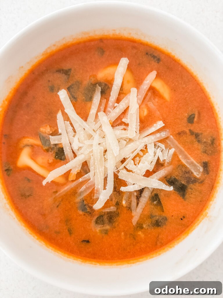 Creamy Tomato Tortellini Soup from NYT 5-Star Recipe 3 Bowl of creamy tomato tortellini topped with grated Parmesan