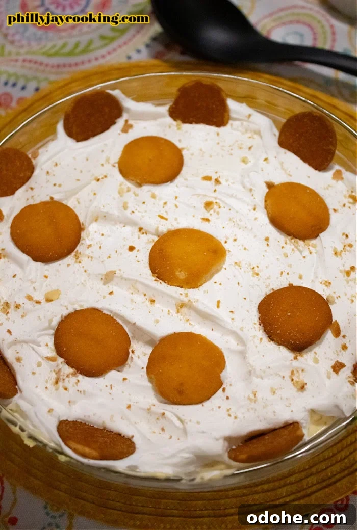 Creamy Banana Pudding with Vanilla Wafers — Top-Rated Recipe 2 Delicious Non-Bake Banana Pudding Recipe