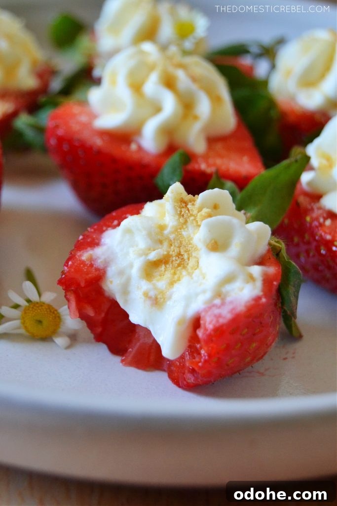 closeup bite of a cheesecake deviled strawberry