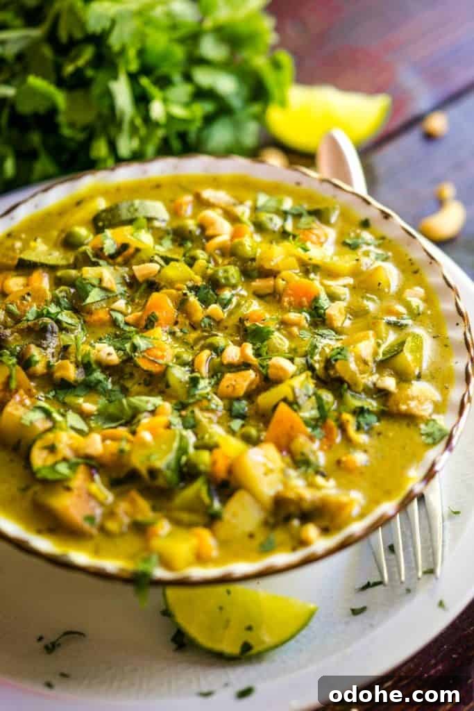 A bowl of vegetable curry sprinkled with cashews and cilantro. 