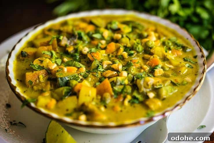A bowl of veggie curry with coconut milk sprinkled with cashews and cilantro.