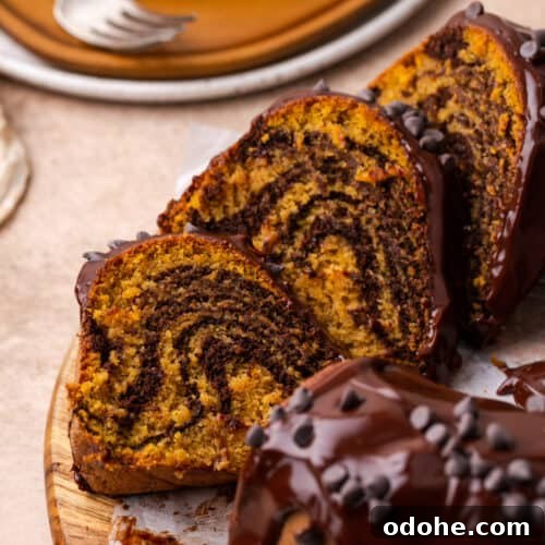 Slices of gluten free chocolate pumpkin bundt cake.