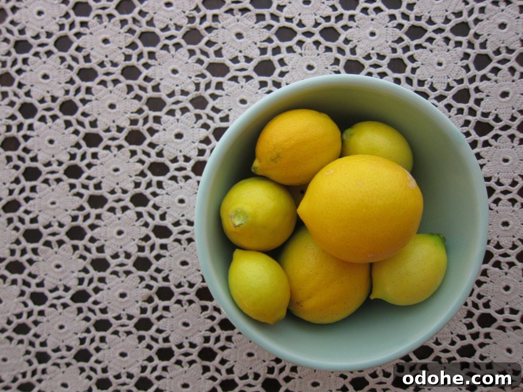 Meyer lemons Meyer lemons