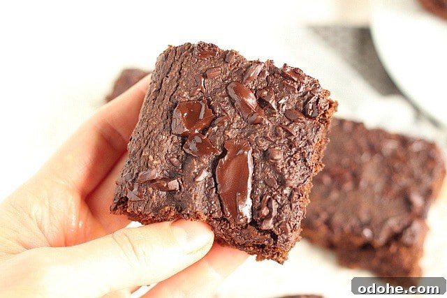 Low-Sugar Pumpkin Brownies with Rich Chocolate Flavor 3 Sugar-free, fat-free pumpkin brownies with spelt flour