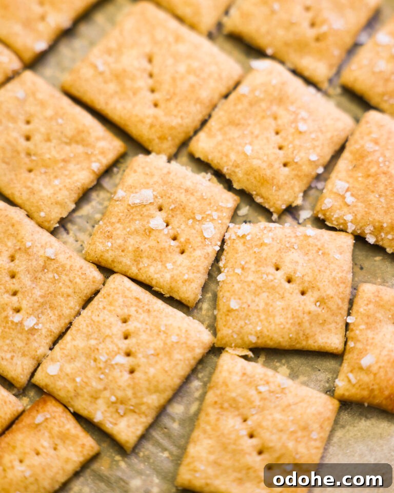 Sourdough Discard Crackers on parchment sprinkled with salt.