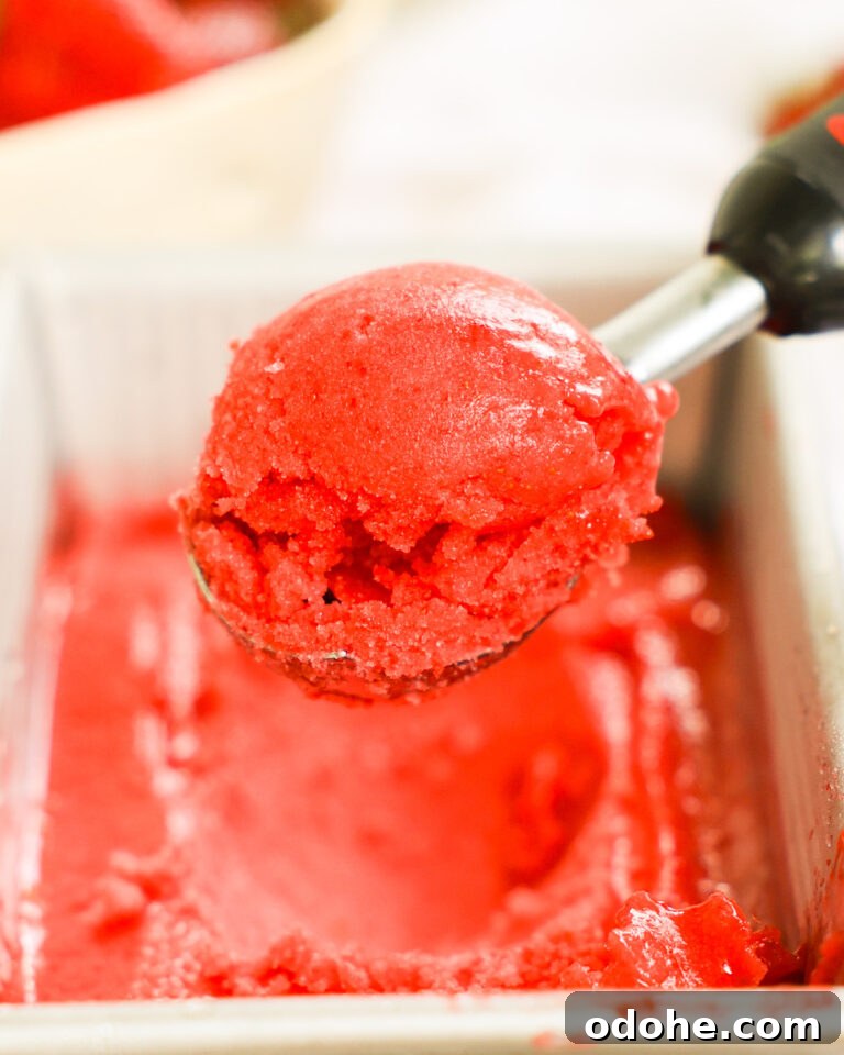 Strawberry Sorbet being scooped.