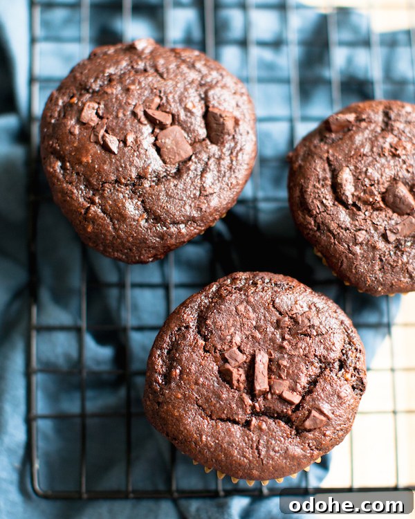 Three Sweet Potato Chocolate Muffins on a cooling rack.