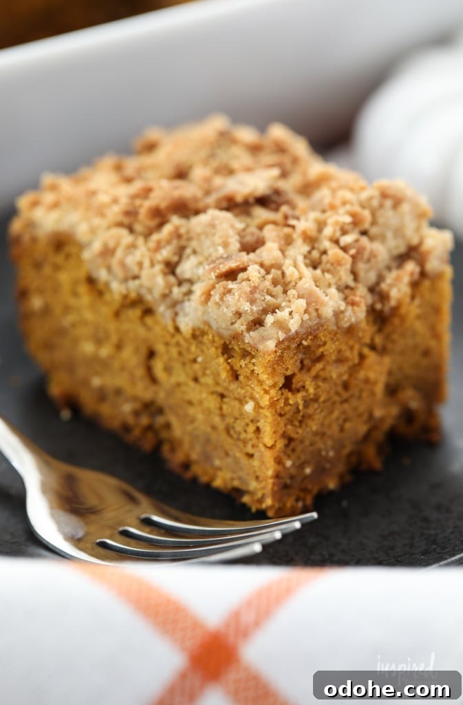 This Pumpkin Cake with Crumb Topping is a delicious and easy fall dessert recipe.