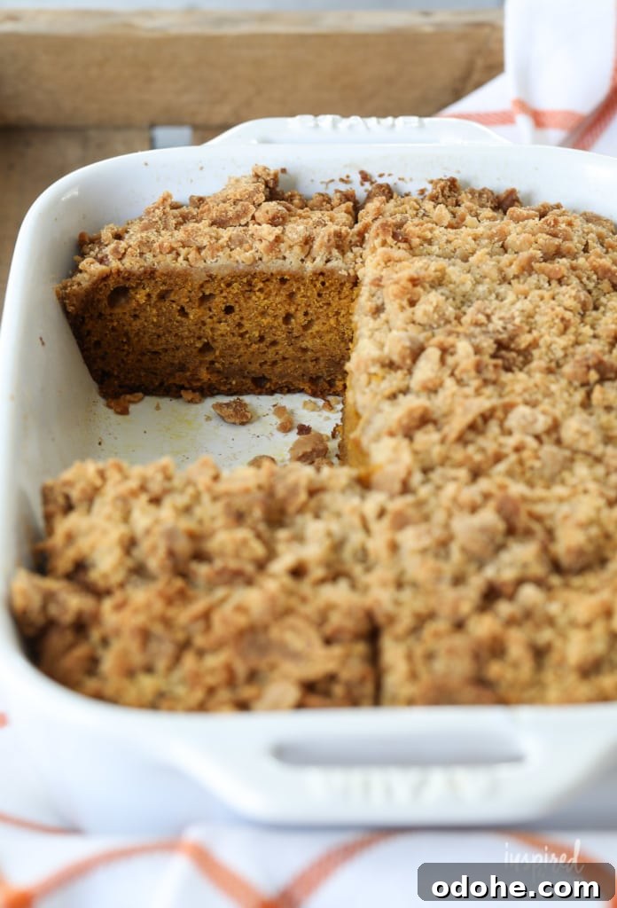 Pumpkin Cake with Crumb Topping close-up.