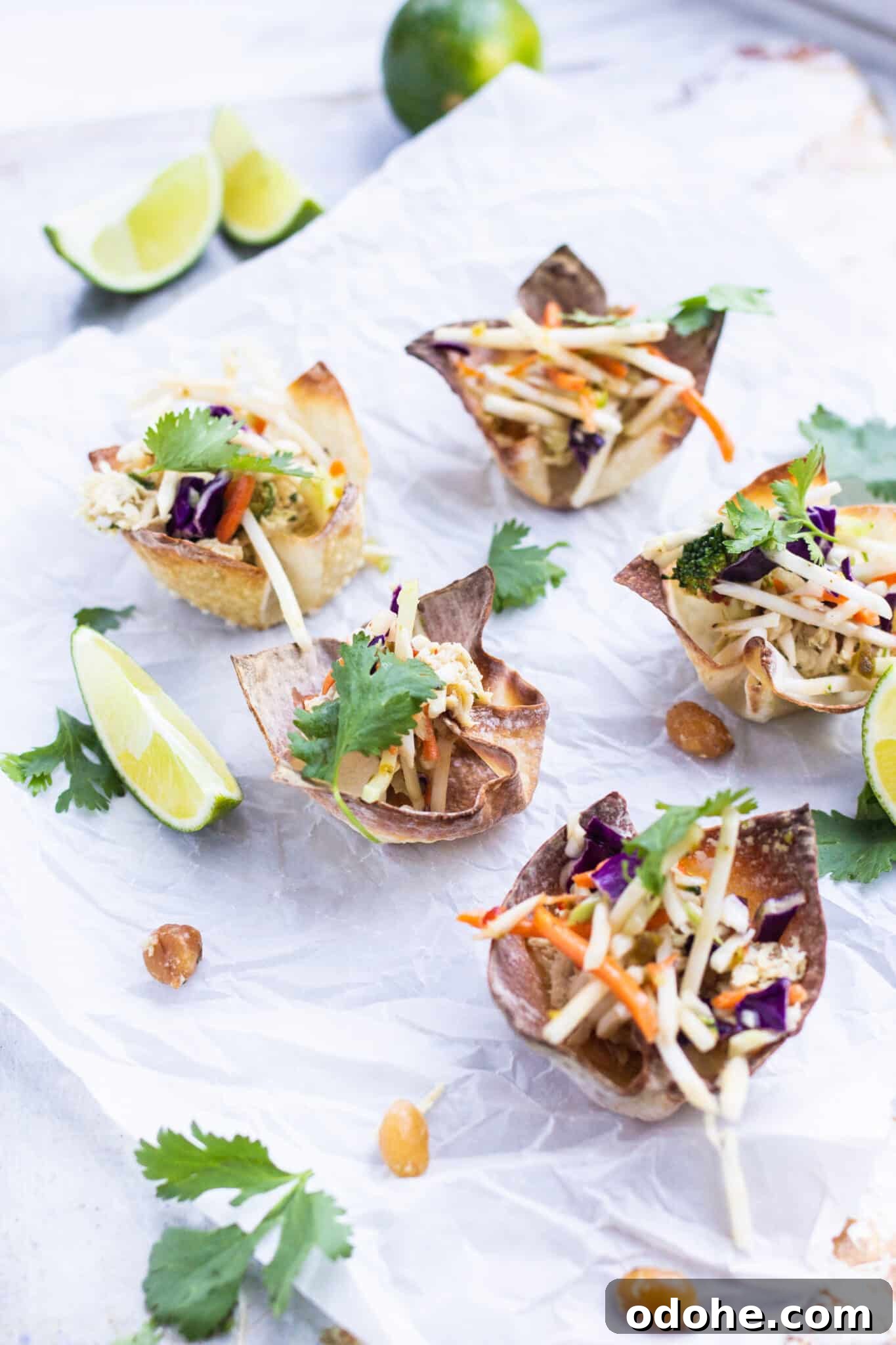 Thai Chicken Salad Wontons Recipe — Crispy Asian-Style Appetizer 2 img 23664 1