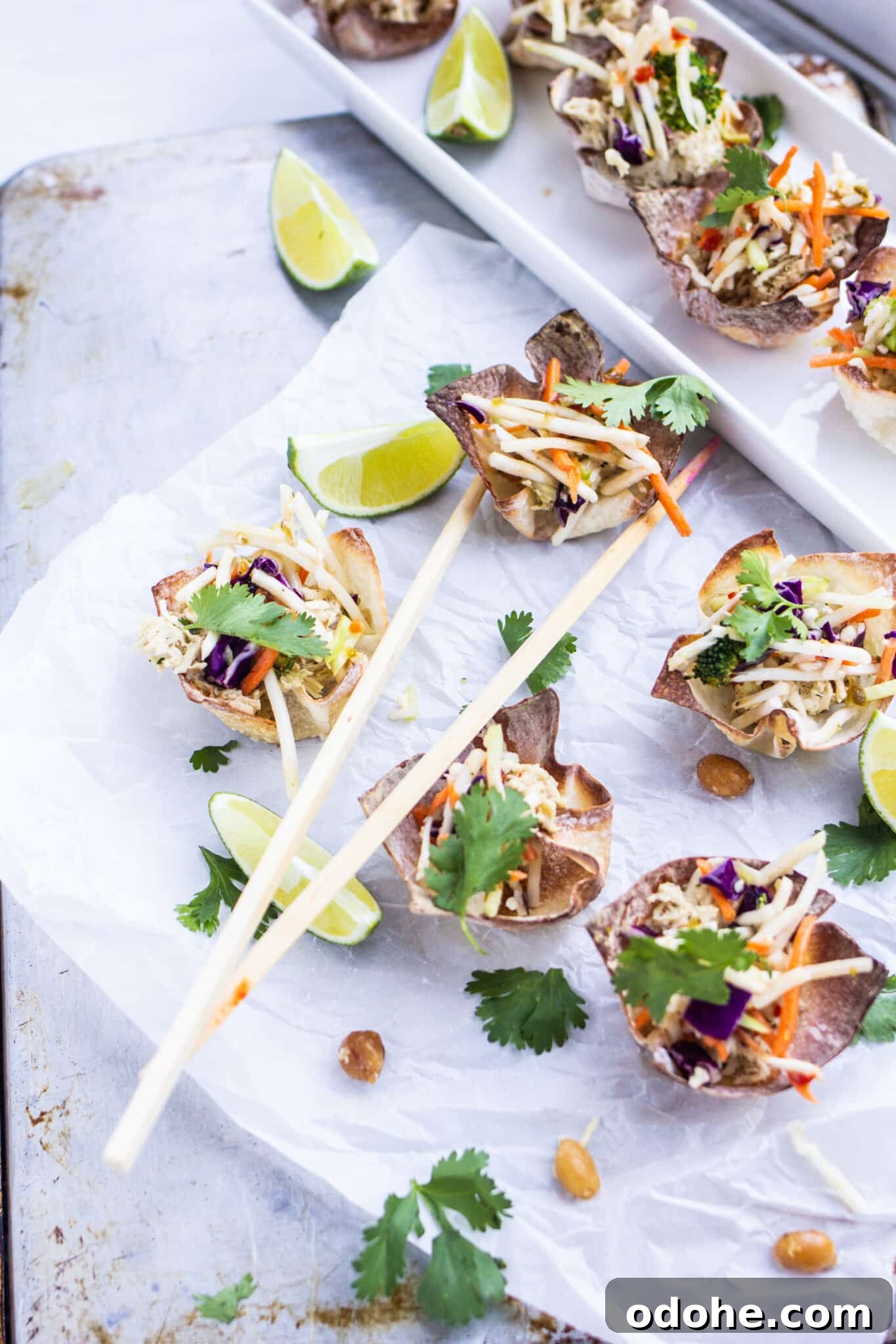 Thai Chicken Salad Wontons Recipe — Crispy Asian-Style Appetizer 3 img 23664 2