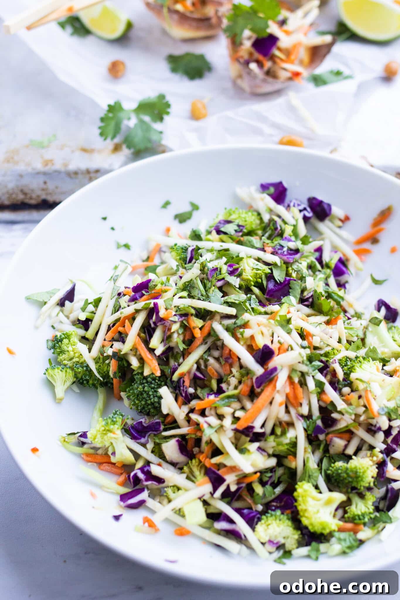 Thai Chicken Salad Wontons Recipe — Crispy Asian-Style Appetizer 4 img 23664 3