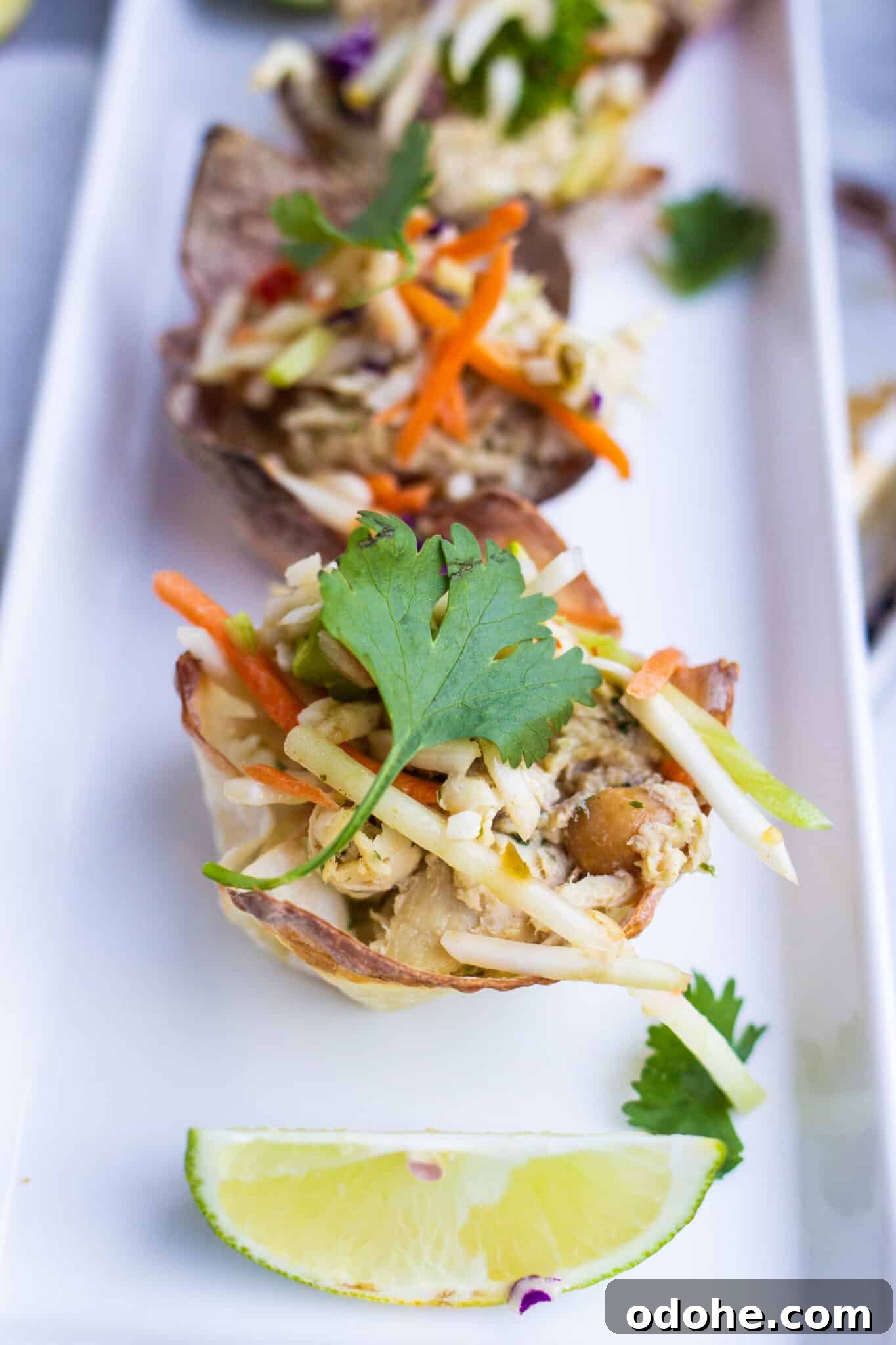 Thai Chicken Salad Wontons Recipe — Crispy Asian-Style Appetizer 5 img 23664 4