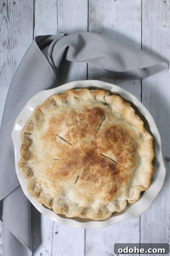 Ultimate Deep-Dish Blackberry Pie Recipe for Perfect Crust 4 This deep dish blackberry pie is chock full of bursting berries--it's the perfect way to harness the sweetness of summer's berry bounty!