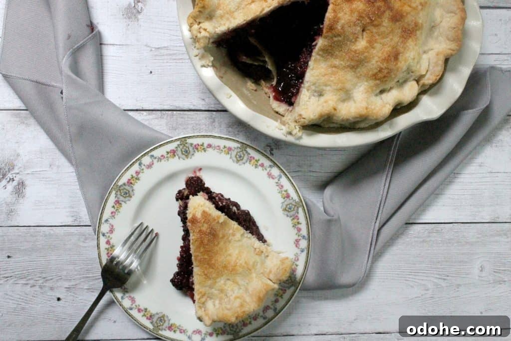 Ultimate Deep-Dish Blackberry Pie Recipe for Perfect Crust 5 This deep dish blackberry pie is chock full of bursting berries--it's the perfect way to harness the sweetness of summer's berry bounty!